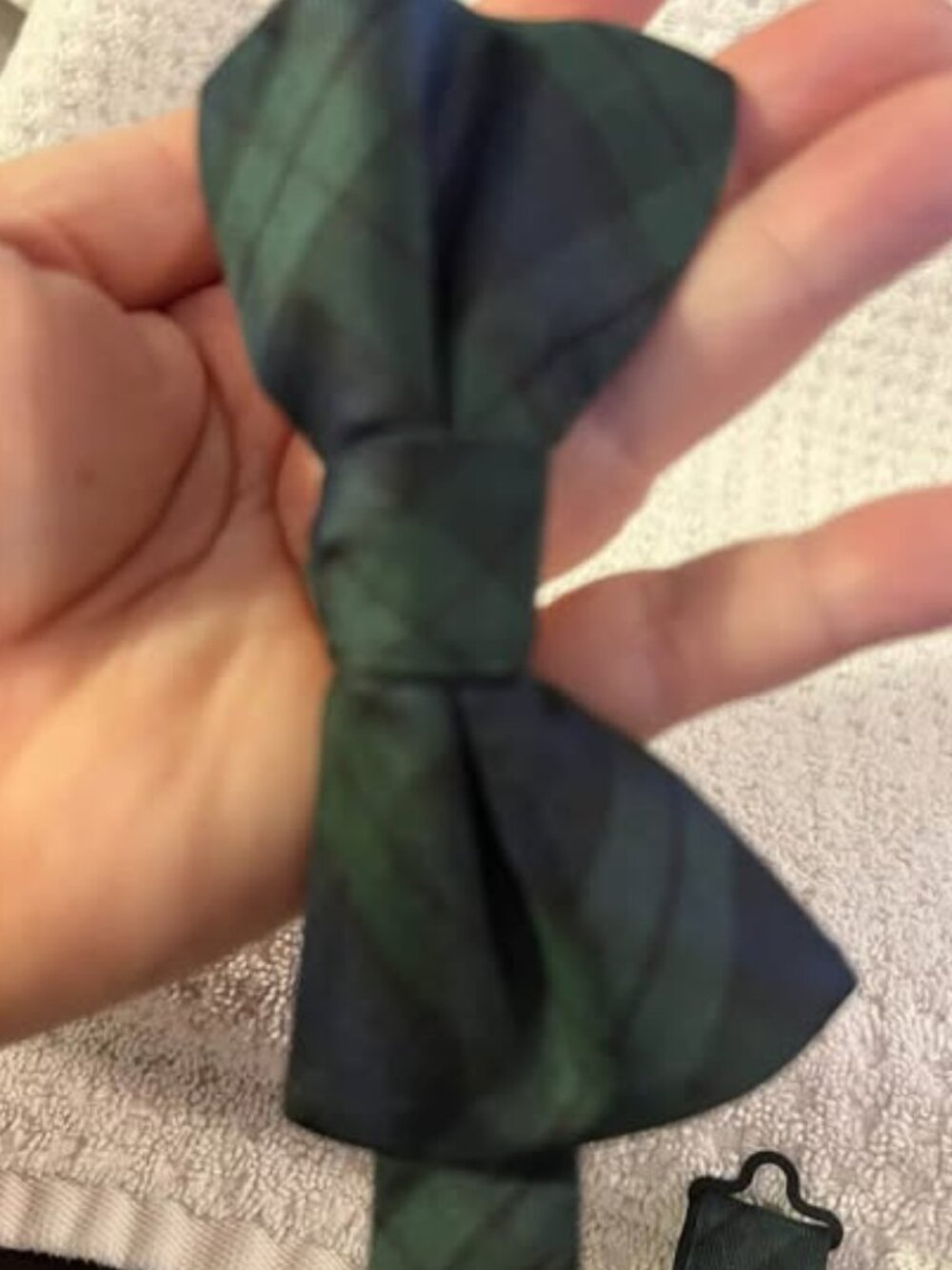 🐻Express - Green and Navy Bow Tie - Clip-On - Adjustable